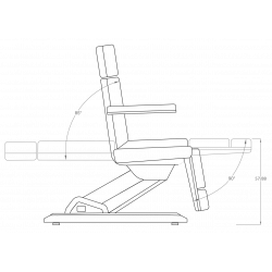 Maxi - multi-purpose electric chair