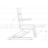 Maxi - chaise électrique multi-usages