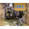 Oré - Seaweed Slimming Wrap