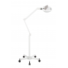 Ampli - Led Magnifying Lamp